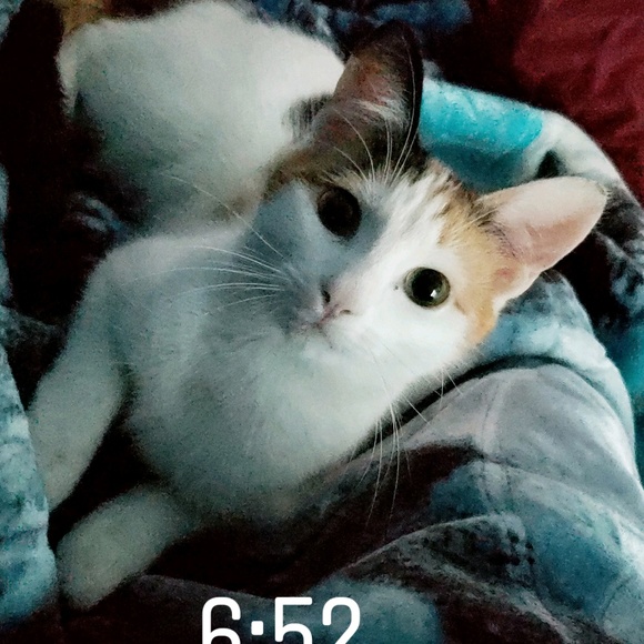 Meet your Posher, Stephanie - Picture 1 of 1